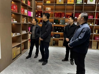 陜西省文旅廳領導蒞臨西鄉縣博物館調研指導工作